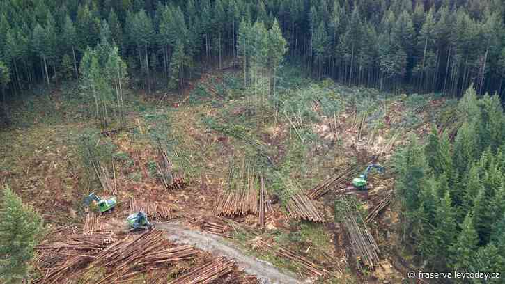 City of Mission records record profit from its municipal forest timber sales, uses those funds for capital projects