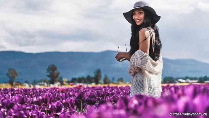 First-ever Harrison Tulip Festival set to bloom this spring in Agassiz