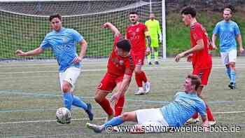 Zwei Teams mit viel Routine: VfL Nagold trifft auf TSV Ehningen