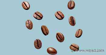 7 Myths and Misconceptions About Coffee (2024)