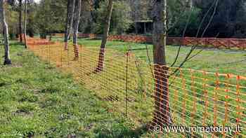 Parziale chiusura del Parco della Cellulosa: cosa succede