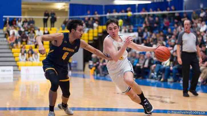 Maffia, Vikes ready to take next step at U Sports men’s basketball Final 8