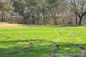Joyrider richt vernielingen aan in De Mosten