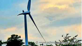 Kundgebungen in Bad Herrenalb: Es regt sich Widerstand gegen  Windräder