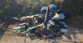 County Durham builder fined after dumping asbestos near cemetery