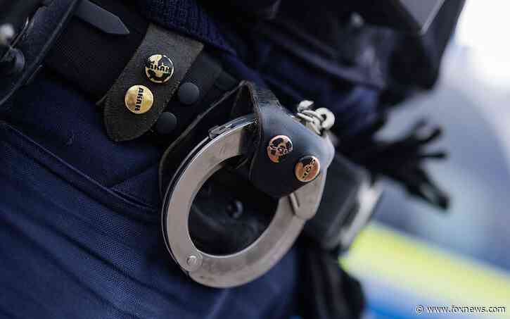 Police conduct raids across Germany against those suspected of posting misogynistic hate speech online