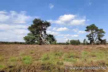 Vrouw die werd gevonden in natuurgebied in Houthalen wellicht lang geleden overleden