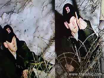 Kingston Police searching for person who tried and failed to break into a local business