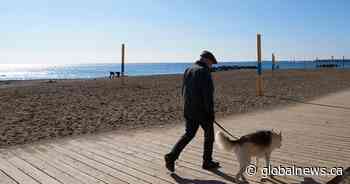 Toronto sees warmest meteorological winter in recorded history