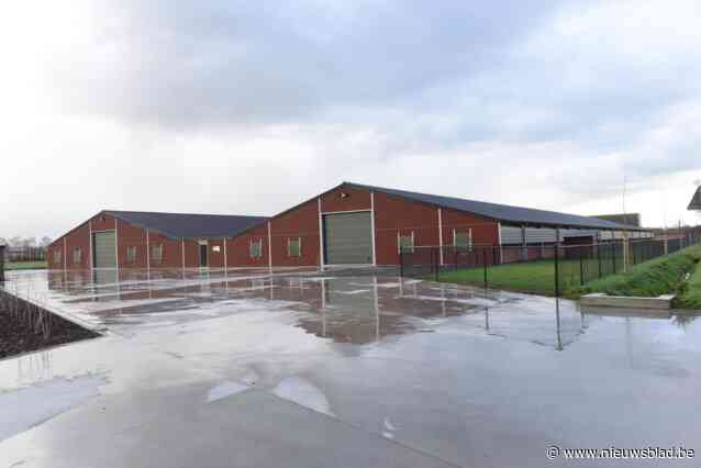 Megastallen dragen bij tot hoge verhardingssnelheid in verkipte Noorderkempen, maar zijn niet enige oorzaak