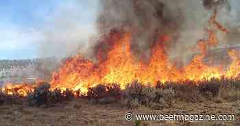 USDA offers assistance for Texas farmers and ranchers impacted by wildfires