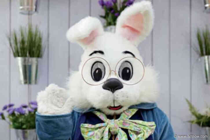 The Easter Bunny will return to Pentagon City next week for photo ops