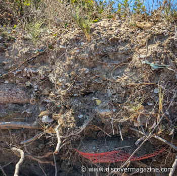 The Notion of Deep Time