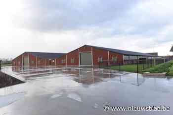 Nieuw rapport: megastallen dragen bij tot snelle ‘verharding’ van Noorderkempen