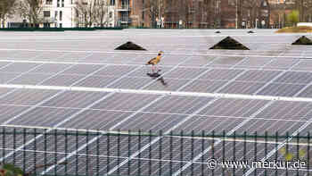 „Deutschland windet sich, schafft die Energiewende aber nicht“ – Verband spricht deutliche Warnung aus