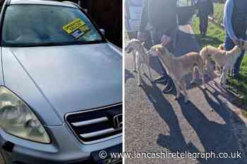 Police investigated illegal hare coursing in West Lancashire