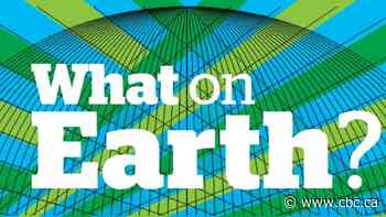 Toronto wants buildings to tap into its sewage for heating