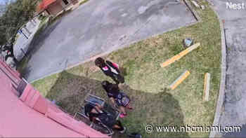 Police search for young burglars seen on video breaking into Hollywood smoke shop