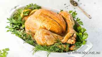 Gross value of poultry rises above sheep meat for first time in Australian history