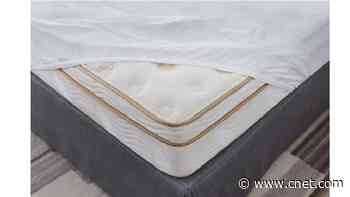Best Waterproof Mattress Protectors of 2024     - CNET