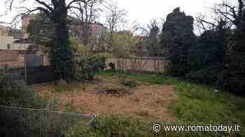San Lorenzo, il cancello abusivo che chiude l'area verde verrà rimosso: "Faremo un orto didattico"