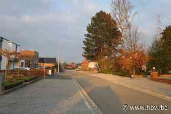Politie waarschuwt voor rondslingerend rattenvergif in Rotem en Maaseik
