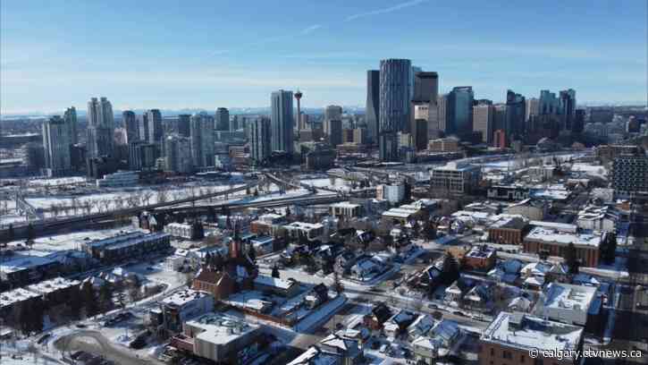 Calgary councillors pitch plebiscite for proposed rezoning rules