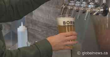 Calgary craft brewer bracing for increased beer tax