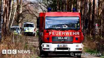 Musk attacks 'dumb eco-terrorists' over Tesla fire