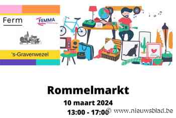 Rommelmarkt in Dorpshuis