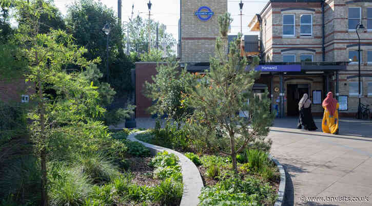 From tracks to trees: TfL’s vision for a greener and wildlife-friendly London