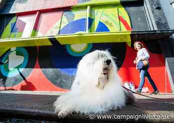 Dulux owner AkzoNobel picks creative B2B agency for EMEA