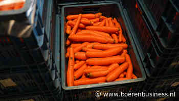 Peenmarkt zou wel wat actie kunnen gebruiken