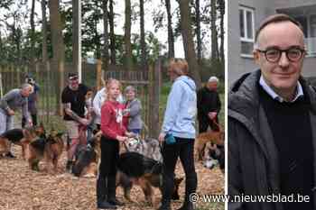 Gemeente legt hondenweide aan in Kerkwijckpark: “5.800 honden in 11.000 gezinnen”