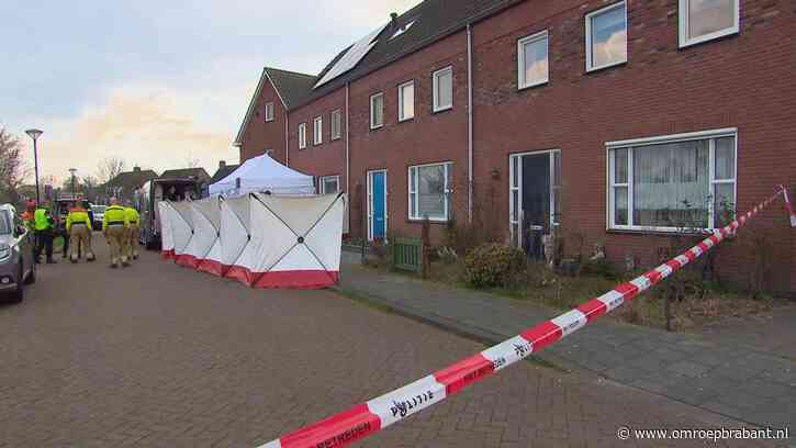 Steekpartij Boekel is familiedrama: zoontje doodgestoken door eigen moeder