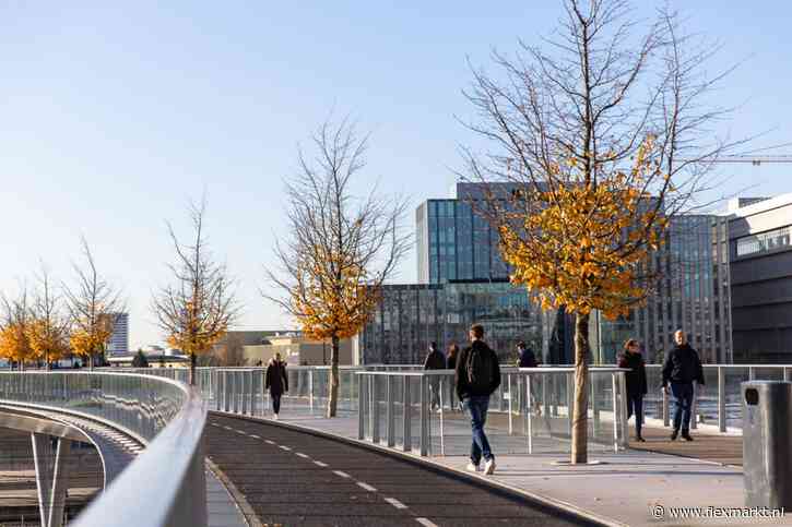 Cohedron haalt kennis en expertise van BAG en WOZ in huis