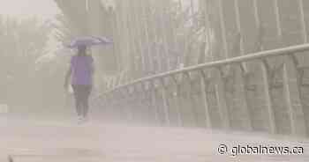 Toronto to see significant rainfall for the weekend, special weather statement issued