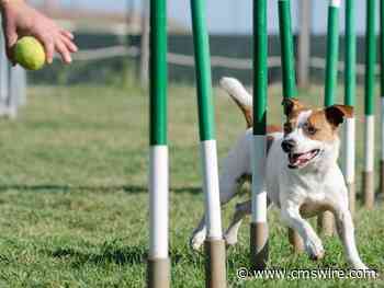 5 Keys to Agile Website Development