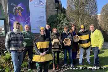 De bij staat centraal op tiende Plantendag in Kortrijk: “Herbiciden en pesticiden zijn dodelijk voor hen”