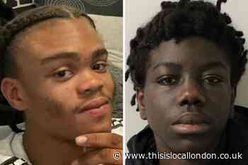 Tottenham murderer shot Andre Salmon, 18, as he rode moped