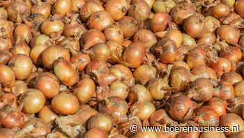 Het is werken om klanten voor uien te vinden