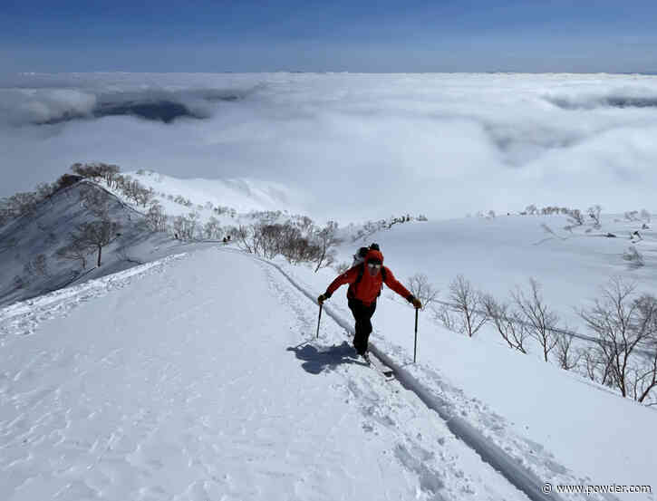 Editor’s Pick 2024 - Head to Toe Max Ritter