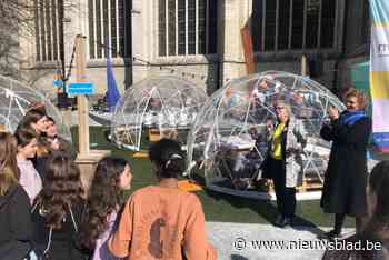 Ferm pleit voor vrouwvriendelijkere openbare ruimte: “Meer gezellige bankjes en toiletten, maar ook betere verlichting”