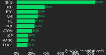 SHIB's 106% Move Higher Led CoinDesk 20 Gainers Last Week: CoinDesk Indices Market Update