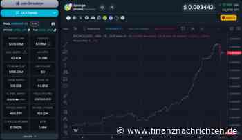 Dogwifhat (WIF) erreicht neues Allzeithoch! Nun setzen Trader auf diese Meme Coins