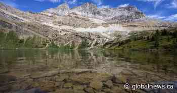 Parks Canada investigation finds no evidence of Banff cougar attack