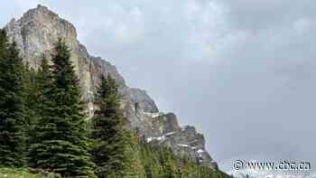 Parks Canada probe finds 'no signs of cougar activity' following February attack claim