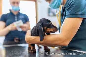 Team Dr. Vorbohle  schließt sich Ringnotdienst an