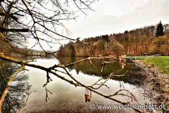 Stausee Neuenheerse soll erhalten bleiben