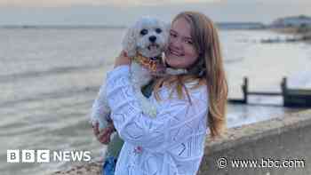 Dog competes in Crufts after two leg surgeries